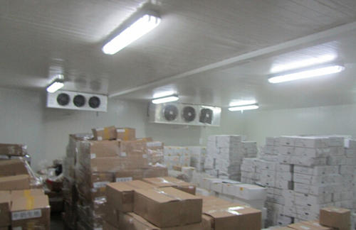 10000立方食品低溫冷庫(kù)