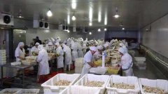 預建一個500噸水產(chǎn)冷庫造價多少錢一立方米？