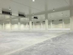 新建1000平方農產品冷藏庫大概要多少錢？