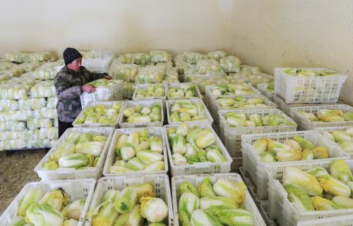 1000噸蔬菜冷庫