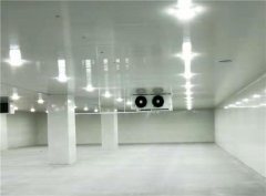 建個一萬平出租型冷庫大概需要投資多少錢？
