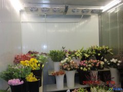 建一個(gè)鮮花花卉保鮮冷庫需要多少錢