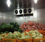 50噸蔬菜保鮮庫決定造價的因素有哪些？