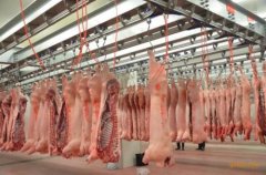 上海安裝600平米肉類冷凍庫價格是多少，600平米冷庫的耗電量怎樣