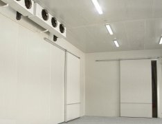 竹筍氣調庫預算成本是多少？竹筍的保存方法