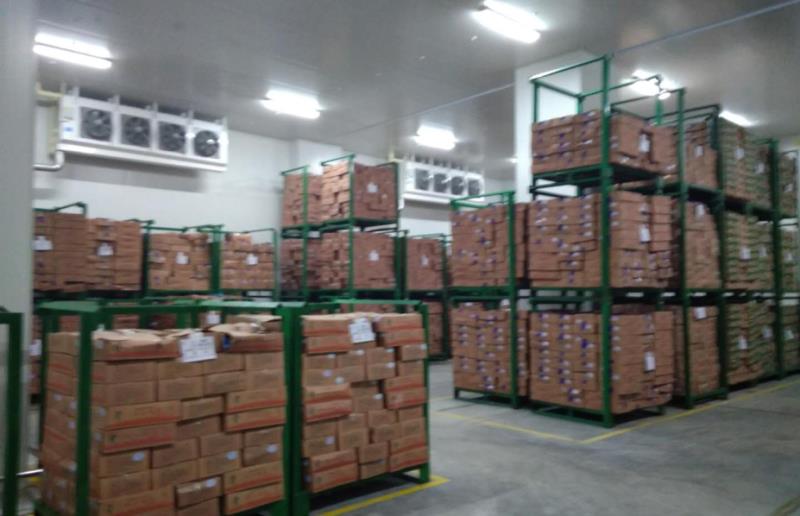 1000噸食品冷凍庫(kù)設(shè)計(jì),制冷設(shè)備大概需要多少錢