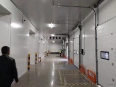 食品批發(fā)冷庫造價及規(guī)劃、食品保鮮、冷凍庫加工廠庫建造