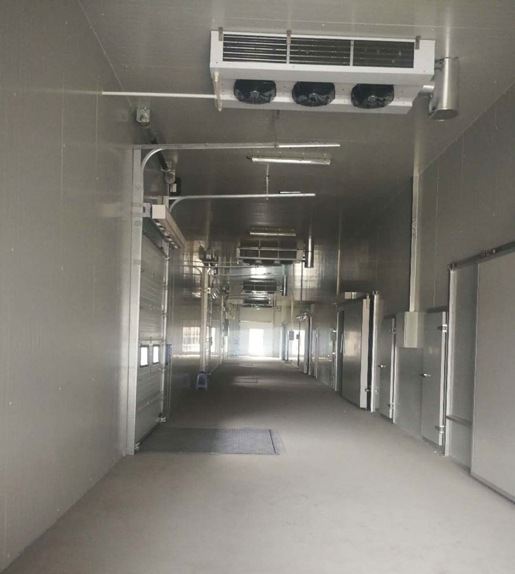 5000m3冷鏈物流工程建設(shè),低溫物流倉庫安裝制冷設(shè)備投資預算